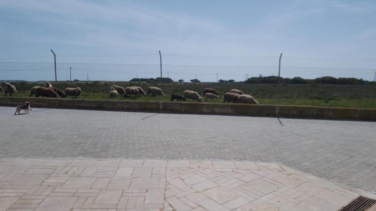Abrigo Das Nortadas Vila do Bispo Εξωτερικό φωτογραφία